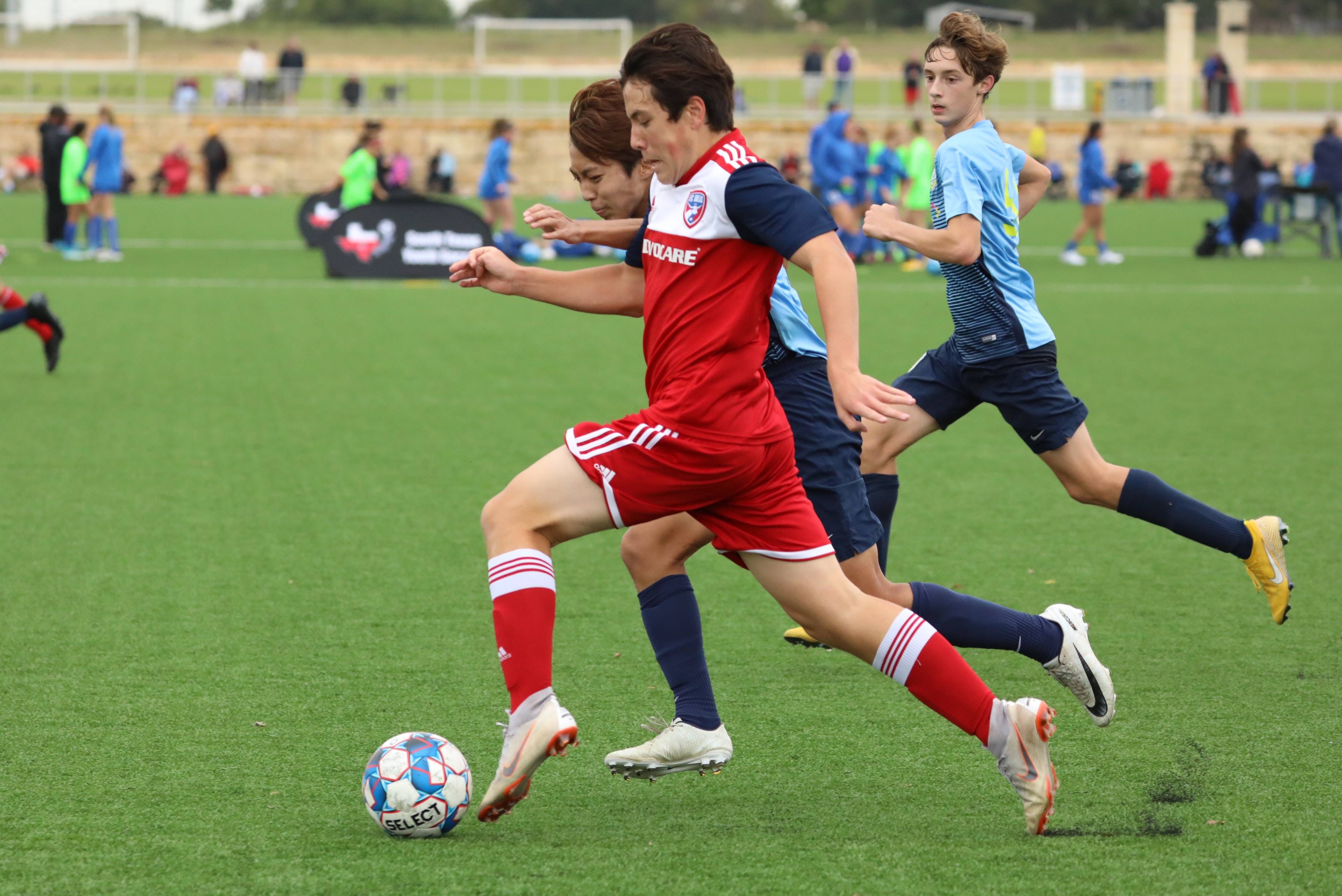 自己不仅能 自己不仅能